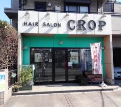 Hair salon Crop
